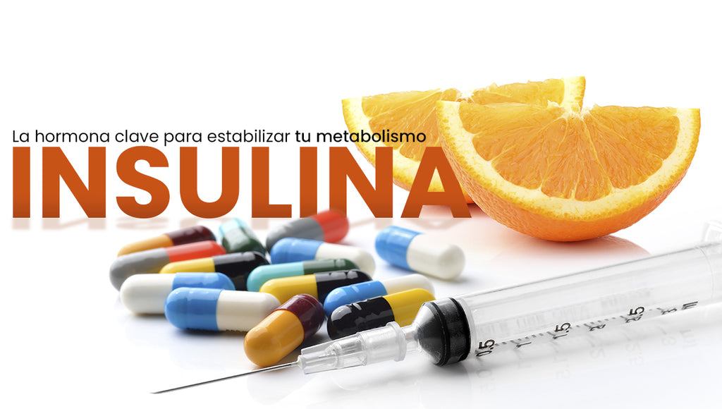 Insulina:  La hormona reina